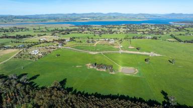 Residential Block For Sale - NSW - Table Top - 2640 - Discover the Perfect Rural Lifestyle  (Image 2)