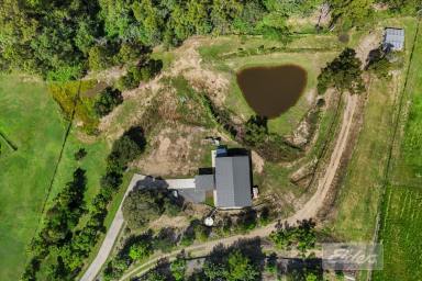 Residential Block For Sale - QLD - Tamaree - 4570 - Privacy, Space and a head Start!  (Image 2)