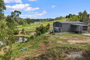 Residential Block For Sale - QLD - Tamaree - 4570 - Build Ready Land close to Town  (Image 2)