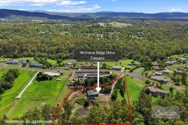 Residential Block For Sale - QLD - Tamaree - 4570 - Build Ready Land close to Town  (Image 2)