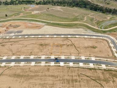 Residential Block For Sale - ACT - Whitlam - 2611 - FOR SALE Flat Premium Vacant Block in Whitlam  (Image 2)