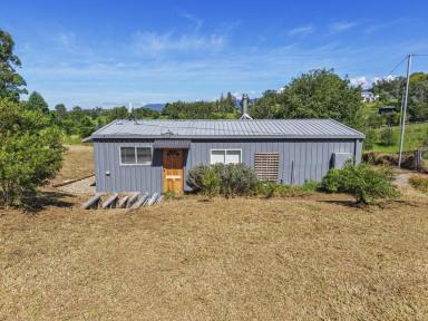 Acreage/Semi-rural For Sale - NSW - Bemboka - 2550 - LIVE IN THE SHED WHILE YOU BUILD YOUR DREAM HOME  (Image 2)
