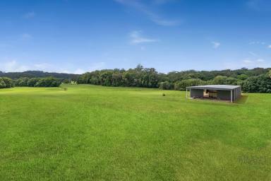 House For Sale - QLD - Diddillibah - 4559 - 30 Acres Landbank Opportunity – 15 Minutes to Maroochydore  (Image 2)