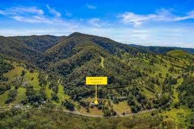 Lifestyle For Sale - NSW - Gloucester - 2422 - History & Heart on 45 Acres - Timeless Copeland Charm  (Image 2)