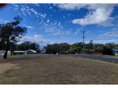Residential Block For Sale - NSW - Coomba Park - 2428 - Blank canvas awaiting your creation!  (Image 2)