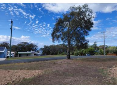 Residential Block For Sale - NSW - Coomba Park - 2428 - Blank canvas awaiting your creation!  (Image 2)