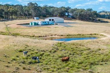Other (Rural) For Sale - NSW - Hovells Creek - 2794 - BRAND NEW HOME & HUGE SHEDS, POSITIONED ON 132 ACRES, JUST 15 MINS TO WYANGALA WATERS!  (Image 2)