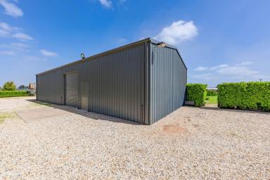 House For Sale - VIC - Red Cliffs - 3496 - STYLE, SPACE & SHEDDING  (Image 2)