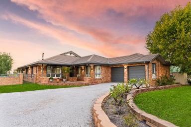 House For Sale - NSW - Mudgee - 2850 - DREAM LIVING ON CHESTNUT CLOSE  (Image 2)