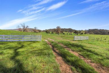 Lifestyle For Sale - NSW - Adelong - 2729 - Rural Acres 507.07Ha  (Image 2)