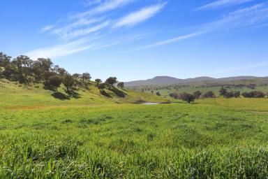 Lifestyle For Sale - NSW - Adelong - 2729 - Rural Acres 507.07Ha  (Image 2)