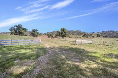 Lifestyle For Sale - NSW - Adelong - 2729 - Rural Acres 507.07Ha  (Image 2)