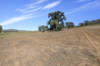 Lifestyle For Sale - NSW - Adelong - 2729 - Rural Acres 507.07Ha  (Image 2)