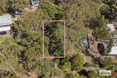 Residential Block For Sale - VIC - Halls Gap - 3381 - Affordable Building Block - Central Halls Gap  (Image 2)