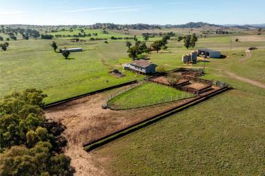 Mixed Farming Auction - NSW - Jugiong - 2726 - Excellent Mixed Farming in Blue Chip Region  (Image 2)