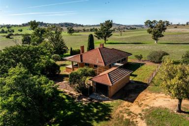 Mixed Farming Auction - NSW - Jugiong - 2726 - Excellent Mixed Farming in Blue Chip Region  (Image 2)