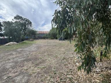 Residential Block For Sale - SA - Birdwood - 5234 - Rare and unique  (Image 2)