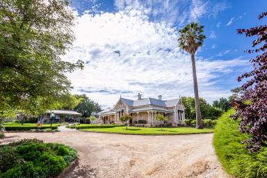 House For Sale - SA - Naracoorte - 5271 - Character, Timeless Appeal - 2 Residences including Airbnb - 4,808m2  (Image 2)