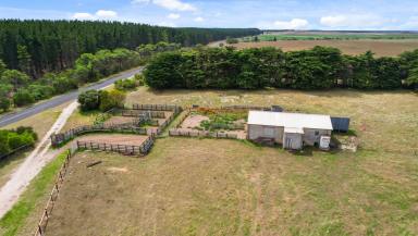 Mixed Farming Auction - SA - Kongorong - 5291 - 'TOWERS'  (Image 2)