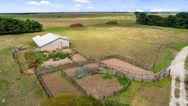 Mixed Farming Auction - SA - Kongorong - 5291 - 'TOWERS'  (Image 2)