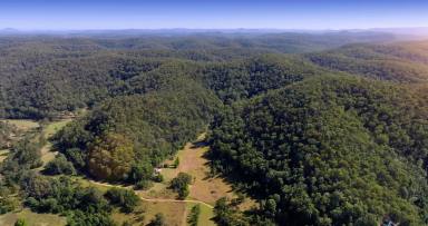 Lifestyle For Sale - NSW - Laguna - 2325 - Idyllic Country Homestead on 80 Private Acres  (Image 2)