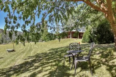 Lifestyle For Sale - NSW - Laguna - 2325 - Idyllic Country Homestead on 80 Private Acres  (Image 2)