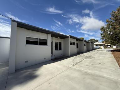 Unit For Lease - VIC - Hamilton - 3300 - Freshly Renovated One Bedroom Units  (Image 2)