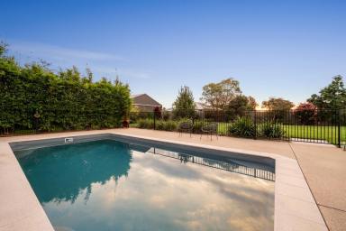 House For Sale - VIC - Huntly - 3551 - Impressive family living on 2000 square metres with pool, shed and superb space  (Image 2)