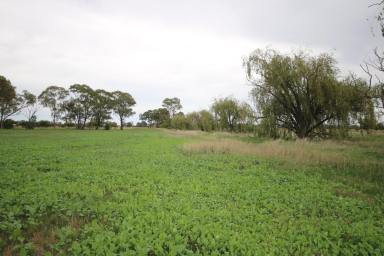 Other (Rural) For Sale - VIC - Rochester - 3561 - 84 ACRES CROPPING/GRAZING  (Image 2)