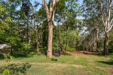 Residential Block For Sale - QLD - Middle Ridge - 4350 - Secure a Rare Sanctuary Setting in Prestigious Middle Ridge  (Image 2)