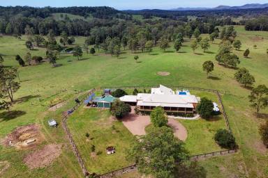 Acreage/Semi-rural For Sale - NSW - Wang Wauk - 2423 - 'Talumberi' Outstanding Rural Holding!  (Image 2)