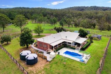 Acreage/Semi-rural For Sale - NSW - Wang Wauk - 2423 - 'Talumberi' Outstanding Rural Holding!  (Image 2)