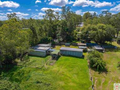 Acreage/Semi-rural For Sale - QLD - Southside - 4570 - Acreage in Town  (Image 2)