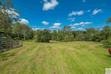 Acreage/Semi-rural For Sale - QLD - Southside - 4570 - ACREAGE LIVING WITH TOWN WATER & CONVENIENCE  (Image 2)