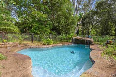 Acreage/Semi-rural For Sale - QLD - Canina - 4570 - Lifestyle Living on 3.5 Acres  (Image 2)