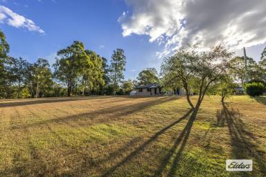 House For Sale - QLD - Gatton - 4343 - 3 BEDDER ON 5 ACRES - MINUTES FROM GATTON CBD  (Image 2)