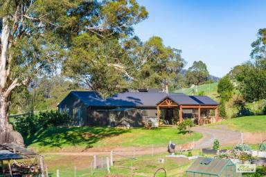Acreage/Semi-rural For Sale - NSW - Wyndham - 2550 - Lifestyle, Space & Self-Sufficiency on 222 Acres  (Image 2)