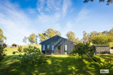 Acreage/Semi-rural For Sale - NSW - Wyndham - 2550 - Lifestyle, Space & Self-Sufficiency on 222 Acres  (Image 2)