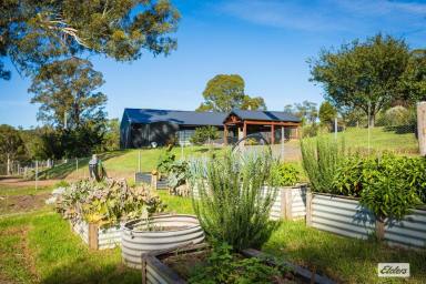 Acreage/Semi-rural For Sale - NSW - Wyndham - 2550 - Lifestyle, Space & Self-Sufficiency on 222 Acres  (Image 2)