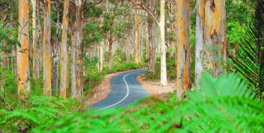 Residential Block For Sale - WA - Kudardup - 6290 - BUILD YOUR DOWN SOUTH SURF SHACK HERE (Image 2)