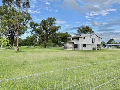 Other (Rural) For Sale - QLD - Woodstock - 4816 - 29.3 Acres - House - Sheds - Mango Tree's - 30 Sheep  (Image 2)