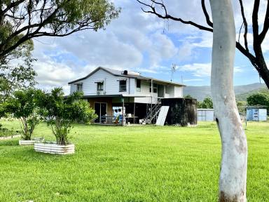 Other (Rural) For Sale - QLD - Woodstock - 4816 - 29.3 Acres - House - Sheds - Mango Tree's - 30 Sheep  (Image 2)
