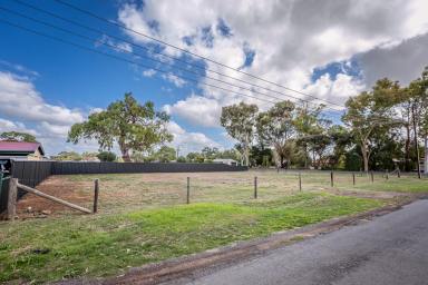 Residential Block For Sale - SA - Penola - 5277 - Prime Corner Allotment with Space, Position & Endless Potential in the Heart of Penola  (Image 2)