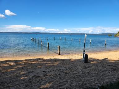 Residential Block For Sale - QLD - Macleay Island - 4184 - Flat & cleared 809m2 block  (Image 2)