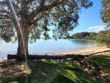 Residential Block For Sale - QLD - Macleay Island - 4184 - Flat & cleared 809m2 block  (Image 2)