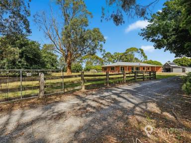 House For Sale - VIC - Foster - 3960 - BRICK LIFESTYLE PROPERTY CLOSE TO TOWN  (Image 2)