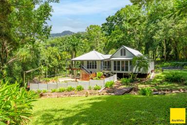 House For Sale - QLD - Smithfield - 4878 - Contemporary Queenslander with Dual Living Amidst Lush Rainforest  (Image 2)