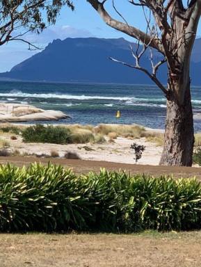 House For Sale - TAS - Orford - 7190 - Affordable Coastal Escape with Direct Water Access -Orford  (Image 2)