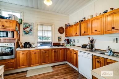 House For Sale - QLD - Laidley - 4341 - Spacious Block, Timeless Charm & Endless Potential (Image 2)