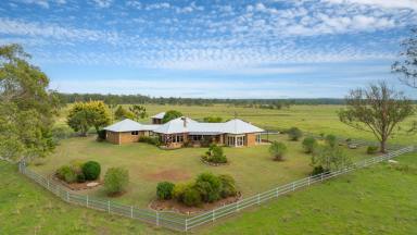 Livestock For Sale - NSW - Grafton - 2460 - LIFESTYLE AND PRODUCTION ON THE CLARENCE RIVER  (Image 2)